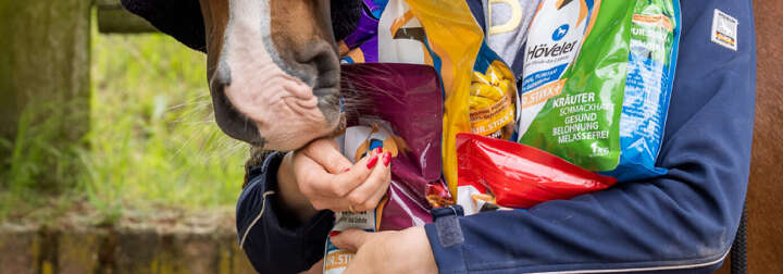 teaserbild hoeveler puritan einstiegsbanner pferdefutter pferd ergaenzungsfutter supplemente